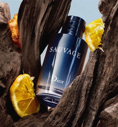 eau toilette sauvage dior|Dior Sauvage edt fragrantica.